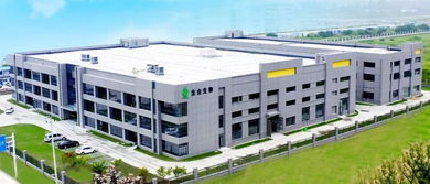 創新乳酸菌食品配料 引爆夏日乳酸菌氣泡水市場，妙傳索思知食平臺